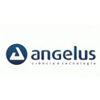 dentaltvweb_angelus
