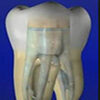 irrigador dentaltvweb icono
