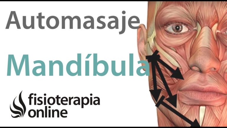 Automasaje de la mandibula y musculatura de la masticacion para bruxismo