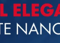 composite nanohibrido