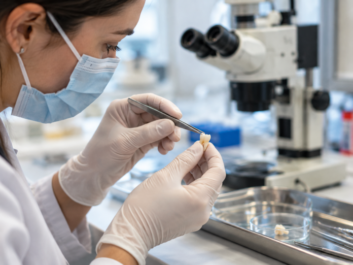 Investigación dental con microscopio